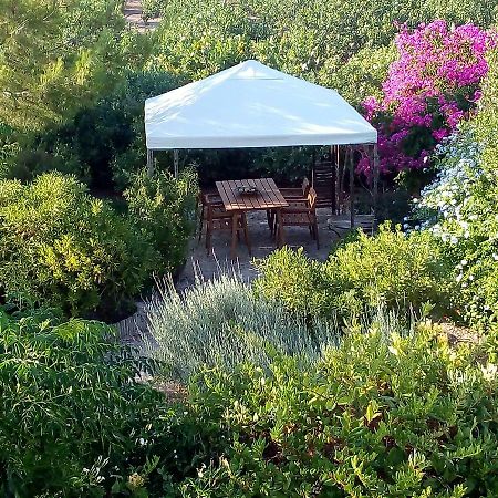 Вилла Aegina'S Oasis Экстерьер фото